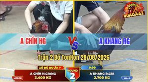 Trận 2 Tonhon 28/08/2026 – Anh Khang Chấp Ngông Bị Anh Chín Lụm