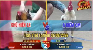 Trận 2 Tonhon 31/08/2026 – Chú Hiển Long Xuyên Đánh Bại Anh Kiểm CM
