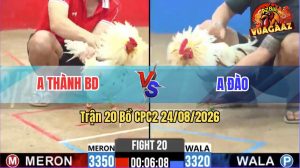 Trận 20 CPC2 24/08/2026 – Anh Đào Thành Công Đánh Bại Anh Thành BD