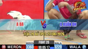 Trận 20 CPC2 27/08/2026 – Anh Ba Thành Công Đánh Bại Anh Xuân ĐH
