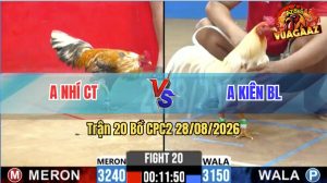 Trận 20 CPC2 28/08/2026 – Gà Cú Anh Nhí CT Đá Toàn Cựa Khủng