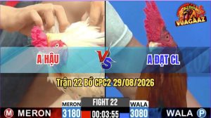 Trận 22 CPC2 29/08/2026 – Gà Điều Anh Đạt Giành Chiến Thắng Vất Vả