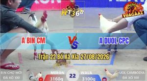 Trận 22 Xà Xía 27/08/2026 – Anh Bin Hạ Anh Duol Chỉ Trong 1 Tay Nước