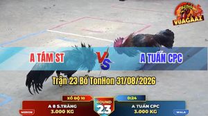 Trận 23 Tonhon 31/08/2026 – Anh Tám ST Đối Đầu Với Anh Tuấn