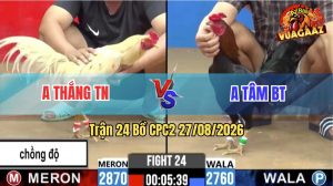 Trận 24 CPC2 27/08/2026 – Anh Thắng Chồng Độ Đụng Với Anh Tâm BT