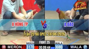 Trận 25 CPC2 24/08/2026 – Anh Đào May Độ Được Gà Xám Cứu 1 Chén