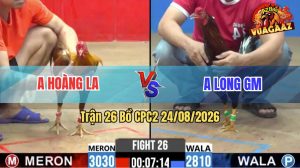 Trận 26 CPC2 24/08/2026 – Gà Khét Anh Hoàng Đá Cái Bo Như Cây Đập