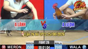 Trận 26 CPC2 25/08/2026 – Anh Lượm Chưa Thả Gà Đã Dí Anh Lành Ăn 5
