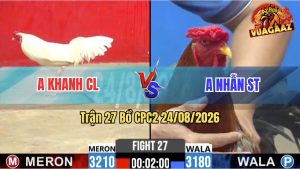 Trận 27 CPC2 24/08/2026 – Gà Úa Anh Khanh CL Đá Khôn Như Người Ta