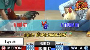 Trận 27 CPC2 28/08/2026 – Anh Trung Chấp 3 Chấp Mà Đá Bao Thấm