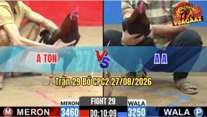 Trận 29 CPC2 27/08/2026 – Anh Ton Đụng Phải Đối Thủ Quá Cứng Cựa