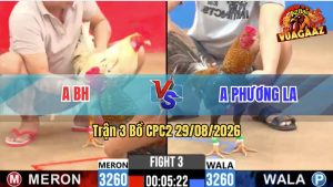 Trận 3 CPC2 29/08/2026 – Gà Bướm Bươi Chà Như Cái Máy, Cú Lật Xe