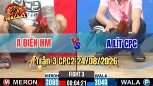 Trận 3 CPC2 Ngày 24/08/2026 Trên Vua Gà AZ