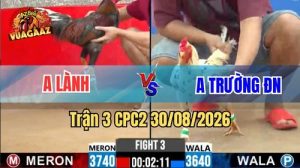 Trận 3 CPC2 Ngày 30/08/2026 Trên Vua Gà AZ