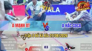 Trận 3 Xà Xía 27/08/2026 – Gà Bông Anh Hắc Coca Đá Khôn Như Người Ta