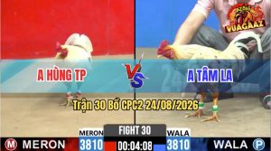 Trận 30 CPC2 24/08/2026 – Anh Tâm Chưa Gì Đã Bị Anh Hùng Dí Bạc