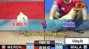 Trận 30 CPC2 29/08/2026 – Gà Anh Khàn Chồng Độ Lên Lớp Đẳng Cấp