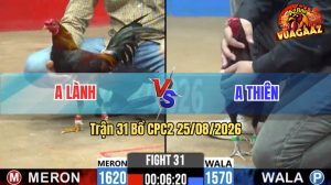 Trận 31 CPC2 25/08/2026 – Anh Thiên Hạ Anh Lành Trong Vất Vả