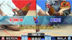 Trận 32 CPC2 24/08/2026 – Anh Thi Hạ Anh Tùng Chưa Tới 3 Nốt Nhạc