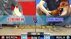 Trận 34 CPC2 29/08/2026 – Gà Úa Anh Trường Gồng Gánh Cứu Chủ