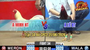 Trận 34 CPC2 31/08/2026 – Anh Minh Tung Gà Úa Ra Đá Quá Điềm Tĩnh
