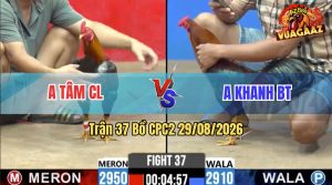 Trận 37 CPC2 29/08/2026 – Anh Tâm CL Đụng Độ Với Anh Khanh BT