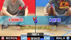 Trận 4 CPC2 25/08/2026 – Anh Quang BT Hạ Anh Đạt Trong Dễ Dàng