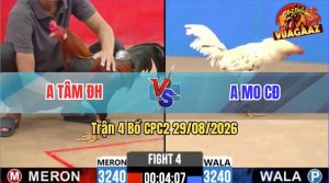 Trận 4 CPC2 29/08/2026 – Anh Tâm TĐ Siết 1 Hơi Lụm Anh Mo CĐ