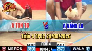 Trận 4 CPC2 Ngày 24/08/2026 Trên Vua Gà AZ