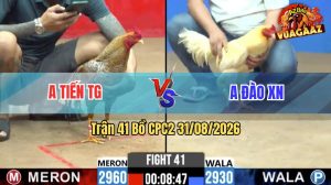 Trận 41 CPC2 31/08/2026 – Anh Tiến Không Cho Anh Đào Cơ Hội Nào