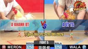 Trận 5 CPC2 28/08/2026 – Anh Út TV Chưa Thả Gà Đã Bị Dí Bạc Ăn 5