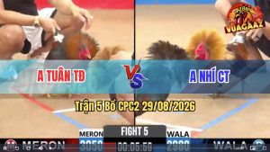 Trận 5 CPC2 29/08/2026 – Anh Nhí Làm Thịt Anh Tuân Quá Dễ Dàng