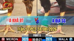Trận 5 CPC2 Ngày 24/08/2026 Trên Vua Gà AZ