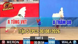 Trận 5 CPC2 Ngày 30/08/2026 Trên Vua Gà AZ