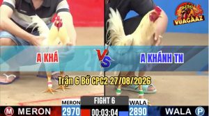 Trận 6 CPC2 27/08/2026 – Anh Khánh Tung Gà Hiệu Ra Đá Như Sát Thủ