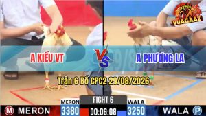Trận 6 CPC2 29/08/2026 – Anh Kiều VT Có Pha Lội Ngược Dòng Ngoạn Mục