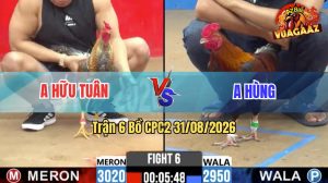 Trận 6 CPC2 31/08/2026 – Anh Hữu Tuân Đụng Độ Với Anh Hùng