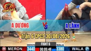 Trận 6 CPC2 Ngày 30/08/2026 Trên Vua Gà AZ