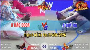 Trận 6 Xà Xía 27/08/2026 – Anh Quý Làm Thịt Anh Hắc Coca Dễ Dàng