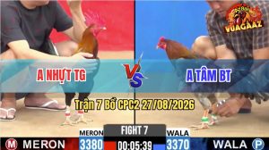 Trận 7 CPC2 27/08/2026 – Gà Điều Anh Nhựt Tung Đòn Liên Hoàn Cước