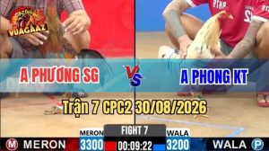 Trận 7 CPC2 Ngày 30/08/2026 Trên Vua Gà AZ