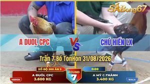 Trận 7 Tonhon 31/08/2026 – Chú Hiển Long Xuyên Làm Thịt Anh Duol CPC