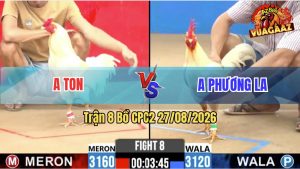 Trận 8 CPC2 27/08/2026 – Anh Phương LA Không Cho Anh Ton Cơ Hội Nào