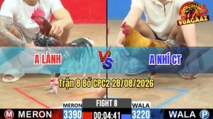 Trận 8 CPC2 28/08/2026 – Gà Anh Lành Siết Mấy Chân Đối Thủ Gãy Giò