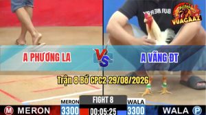 Trận 8 CPC2 29/08/2026 – Gà Anh Phương Lì Đòn, Phản Tang Phút Cuối
