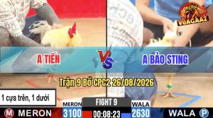 Trận 9 CPC2 26/08/2026 – Anh Bảo Sting Thất Thủ Trước Anh Tiến