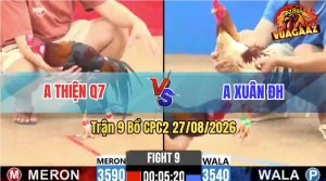 Trận 9 CPC2 27/08/2026 – Camelo Anh Bé BT Không Làm Anh Em Thất Vọng