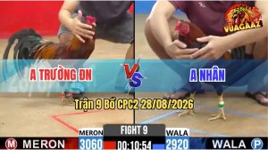 Trận 9 CPC2 28/08/2026 – Anh Trường ĐN Hạ Anh Nhân Quá Dễ Dàng