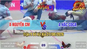 Trận 9 Xà Xía 27/08/2026 – Anh Nguyên Tung Gà Hiệu Dí Anh Hắc Coca