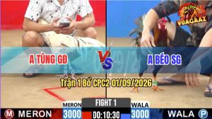 Trận 1 CPC2 01/09/2026 – Anh Béo SG Làm Thịt Anh Tùng Ở Trận Mở Màn